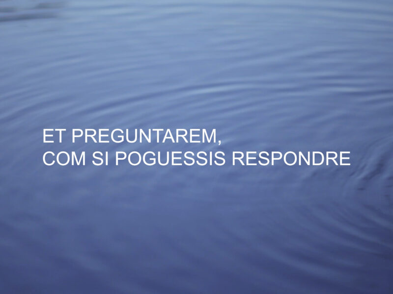 Et preguntarem, com si poguessis respondre